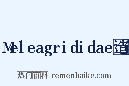 Meleagrididae造句是什么意思的图片